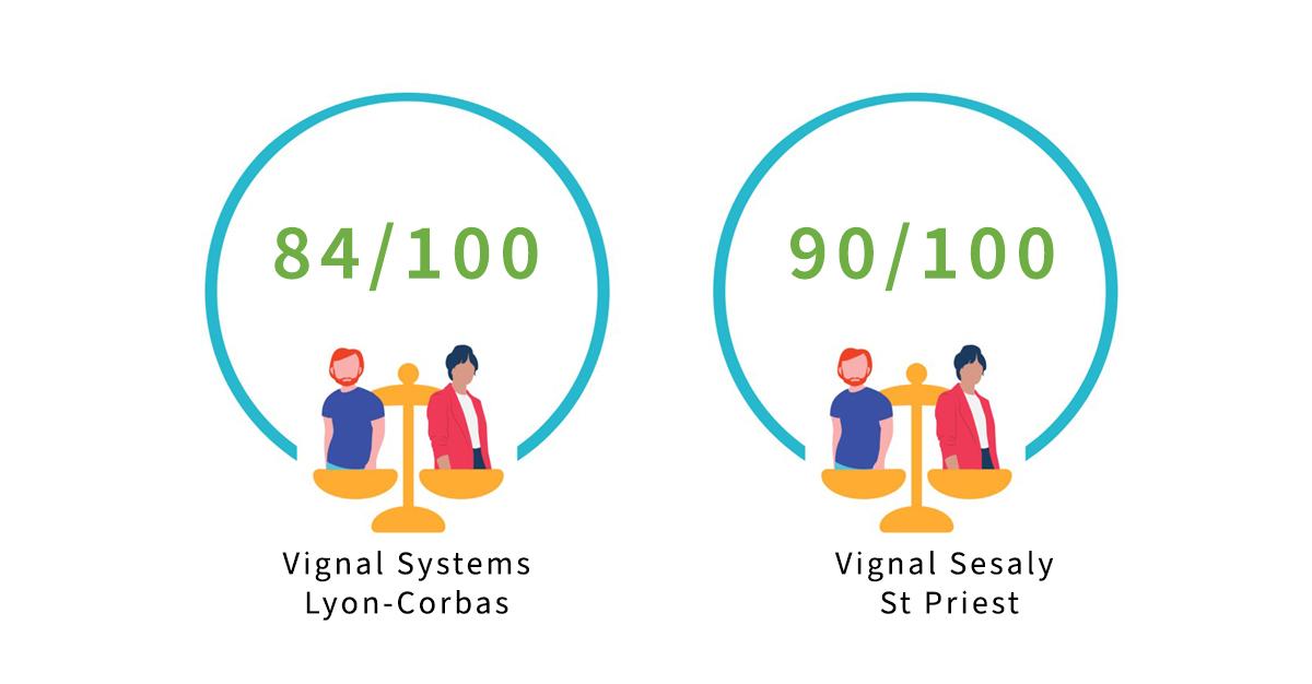 index égalité professionnelle vignal